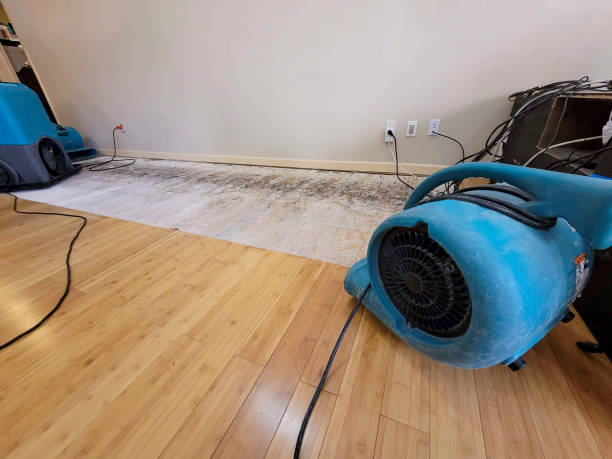 Professional Structural Drying technician working in Campbell, TX