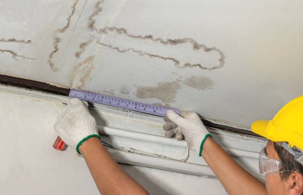 Affordable Structural Drying solutions in Campbell, TX